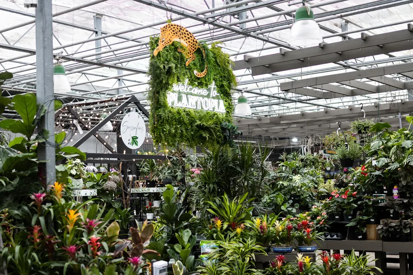 McDonald Garden Center - 5