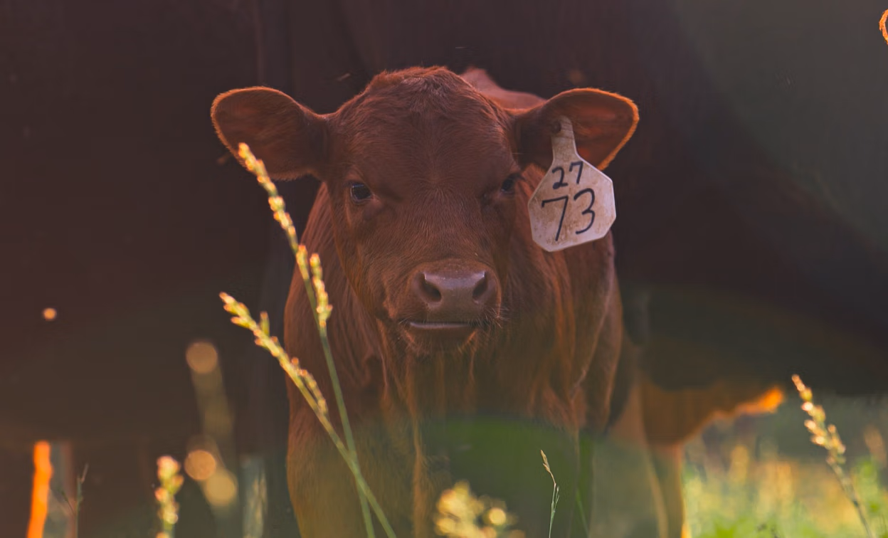 River Road Farm - 5