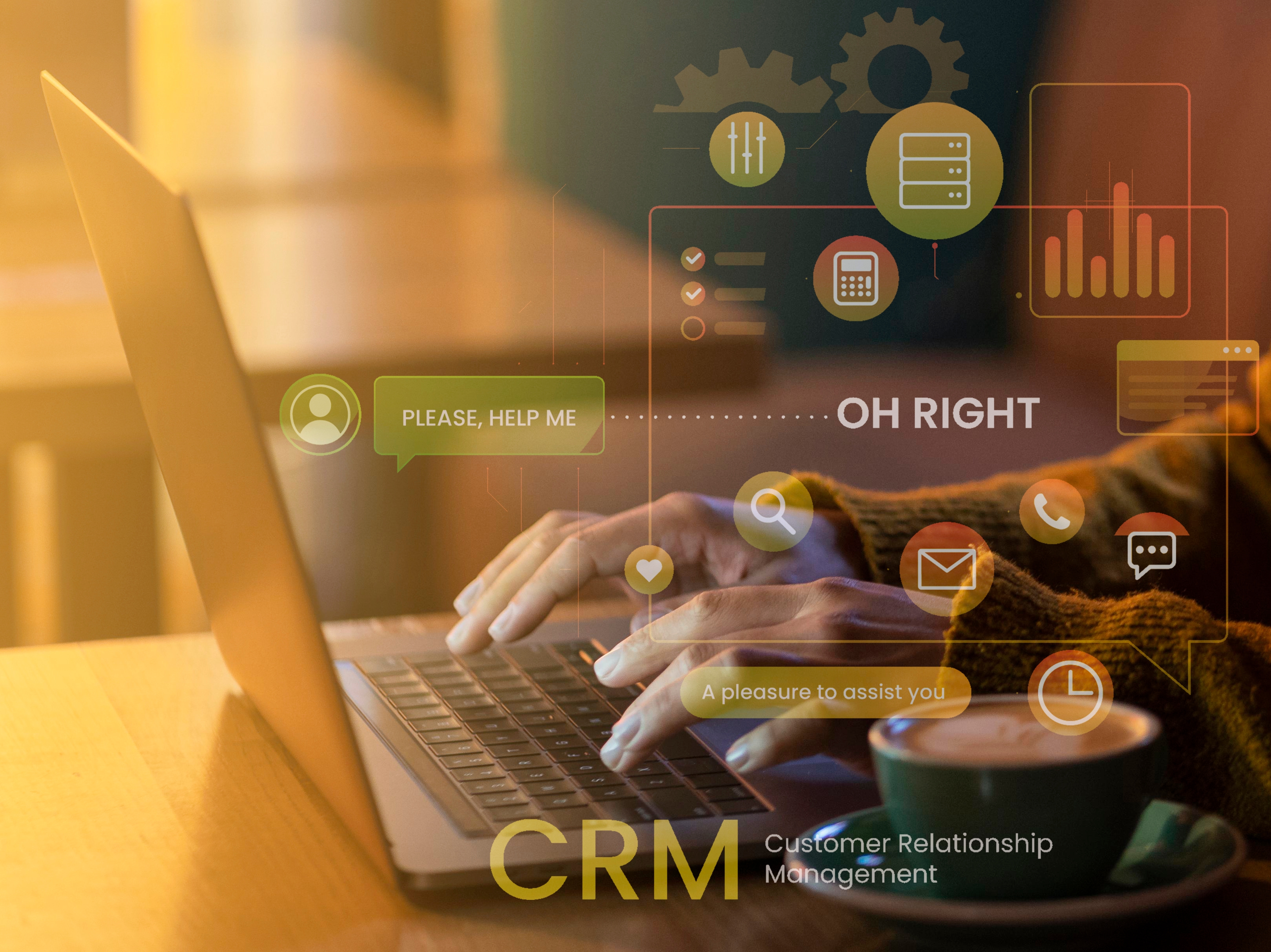 Branding + CRM & Sales System 