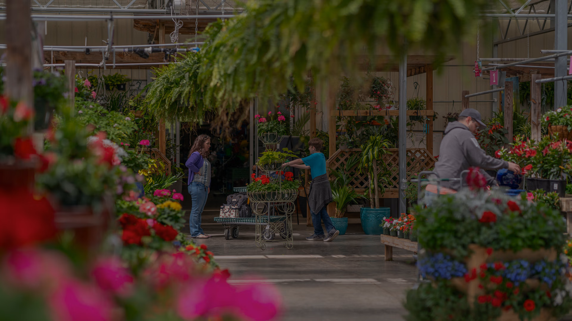 Anderson's Garden Center
